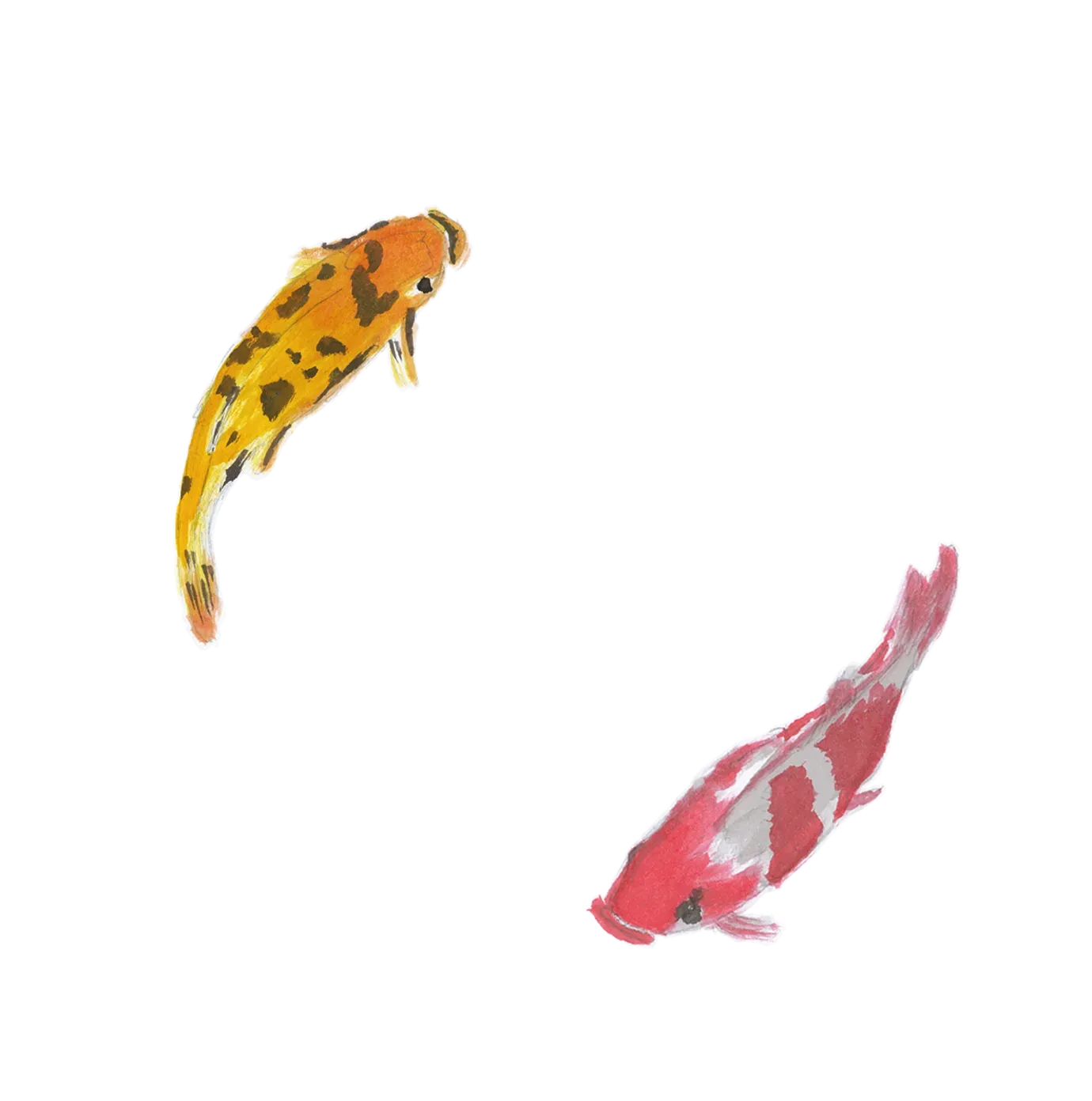 Kruhový motiv ryby - symbol plynulosti a adaptability v čínské filozofii