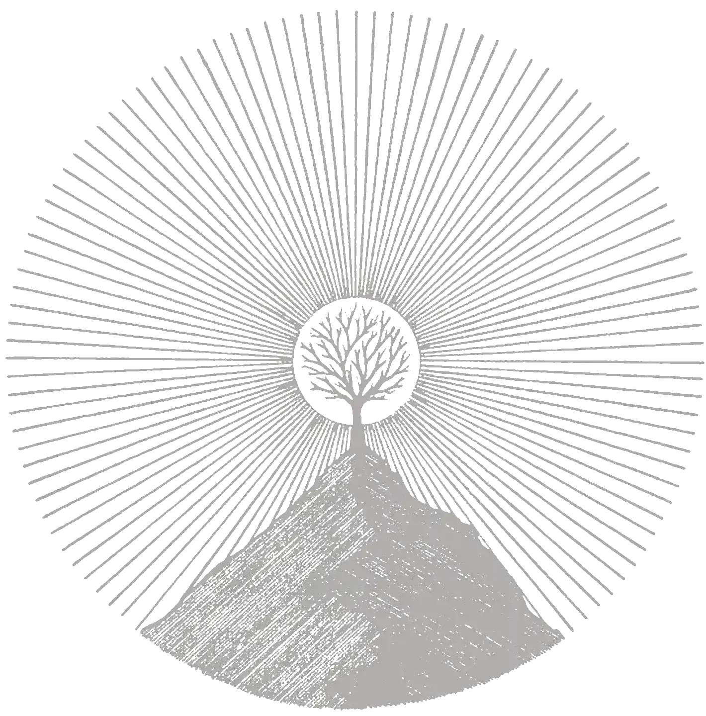 Kruhový motiv stromu - symbol růstu a zakořenění v tradiční medicíně